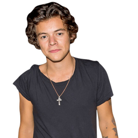 Featured image for “Harry Styles (Casual) Half Body Buddy”