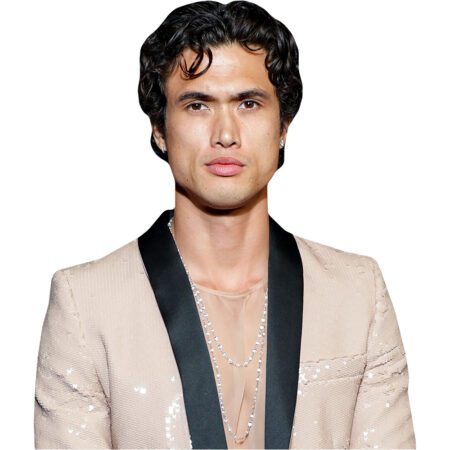 Featured image for “Charles Melton (Beige Suit) Half Body Buddy”