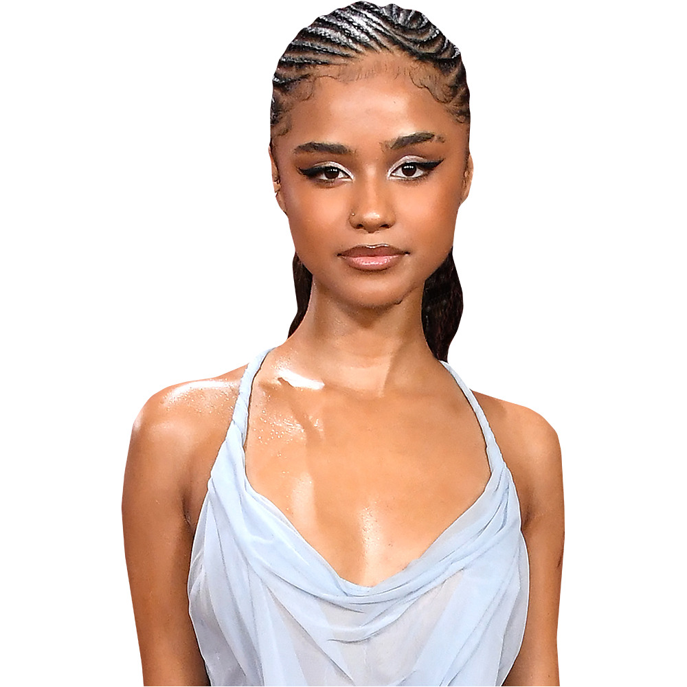 Tyla Seethal (Light Blue) Half Body Buddy Celebrity Cutouts