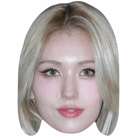 Featured image for “Jeon So mi (Blonde Hair) Big Head”