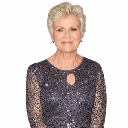 Featured image for “Julie Walters (Gown) Buddy - Torso Up Cutout”