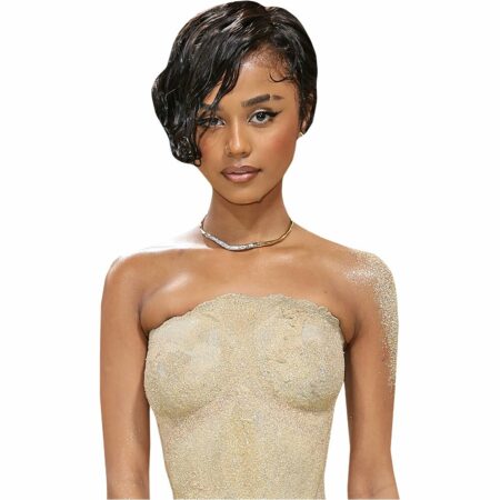 Featured image for “Tyla Seethal (Sand Dress) Buddy - Torso Up Cutout”